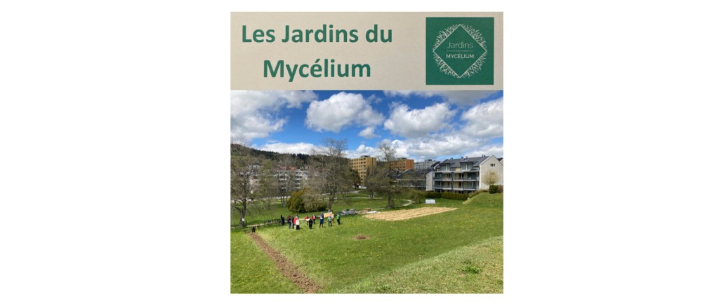 L’esprit sain du&nbsp;Mycélium