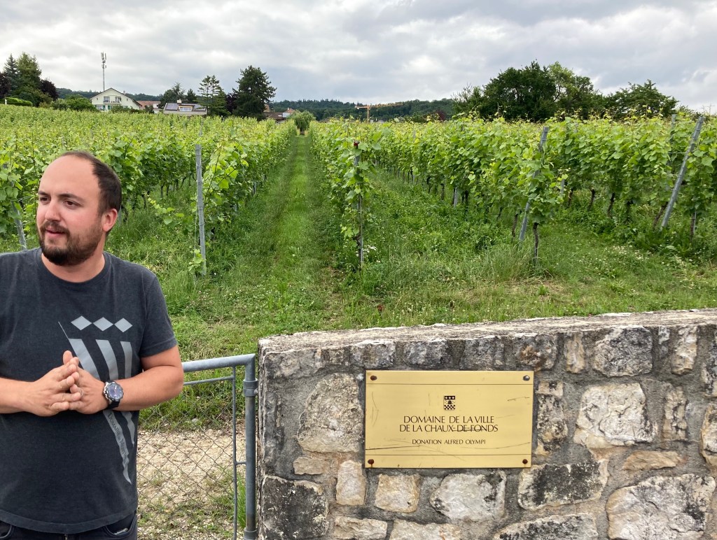 Les vins de la ville prennent un coup de&nbsp;jeune